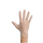 MaiMed® – vi touch PF