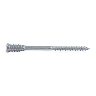 Top-Star™ 6,0/10x80mm | Inhalt: 100 Stück
