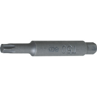 Bit | Antrieb Aussensechskant 10 mm (3/8") | T-Profil (für Torx) T50