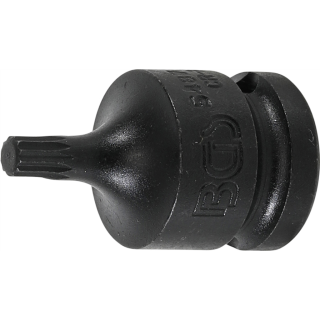 Kraft-Bit-Einsatz | Antrieb Innenvierkant 12,5 mm (1/2") | Innenvielzahn (für XZN) M6