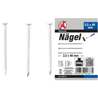 Nägel-Sortiment | 200 g | 2,5 x 40 mm