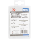 Sockelleisten- / Paneel-Stifte-Sortiment | 100-tlg.