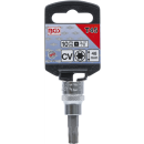 Bit-Einsatz | Antrieb Innenvierkant 10 mm (3/8") | T-Profil (für Torx) T45