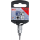 Bit-Einsatz | Antrieb Innenvierkant 6,3 mm (1/4") | T-Profil (für Torx) T10