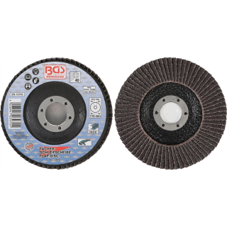 Fächer-Schleif-Scheibe | Ø 115 mm | K 40