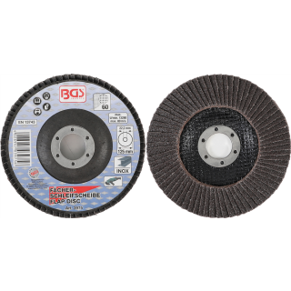 Fächer-Schleif-Scheibe | Ø 125 mm | K 60