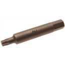 Bit, lang | Antrieb Außensechskant 10 mm...
