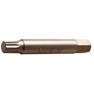 Bit, lang | Antrieb Außensechskant 10 mm (3/8") | Innenvielzahn (für XZN) M10