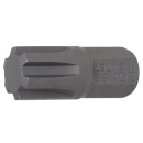 Bit | Antrieb Außensechskant 10 mm (3/8") |...