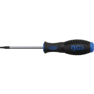 Schraubendreher | T-Profil (für Torx) T15 | Klingenlänge 80 mm