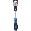 Schraubendreher | T-Profil (für Torx) T30 | Klingenlänge 100 mm