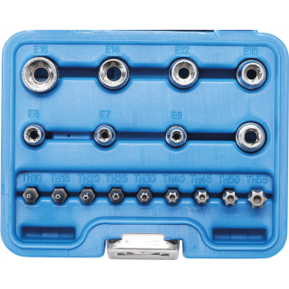 Bit- und Steckschlüssel-Satz | E-Profil / T-Profil (für Torx) | 17-tlg.