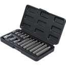 Bit-Satz | Antrieb Außensechskant 10 mm (3/8") | Innensechskant 15-tlg.