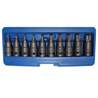 Kraft-Bit-Einsatz-Satz | Antrieb Innenvierkant 12,5 mm (1/2") | T-Profil (für Torx) T20 - T70 | 10-tlg.