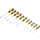 Schraubendreher-Satz | T-Profil (für Torx) T6 - T40 | 11-tlg.