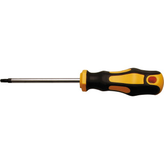Schraubendreher | T-Profil (für Torx) T25 | Klingenlänge 100 mm