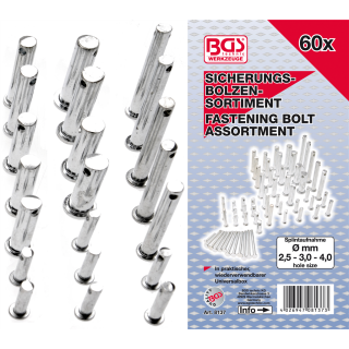 Sicherungsbolzen-Sortiment | 60-tlg.