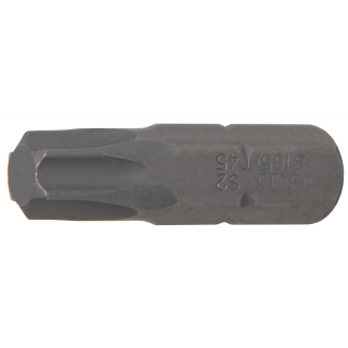 Bit | Antrieb Außensechskant 8 mm (5/16") | T-Profil (für Torx) T45