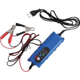 Auto-Batterie-Ladegerät | 12 V