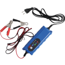 Auto-Batterie-Ladegerät | 12 V